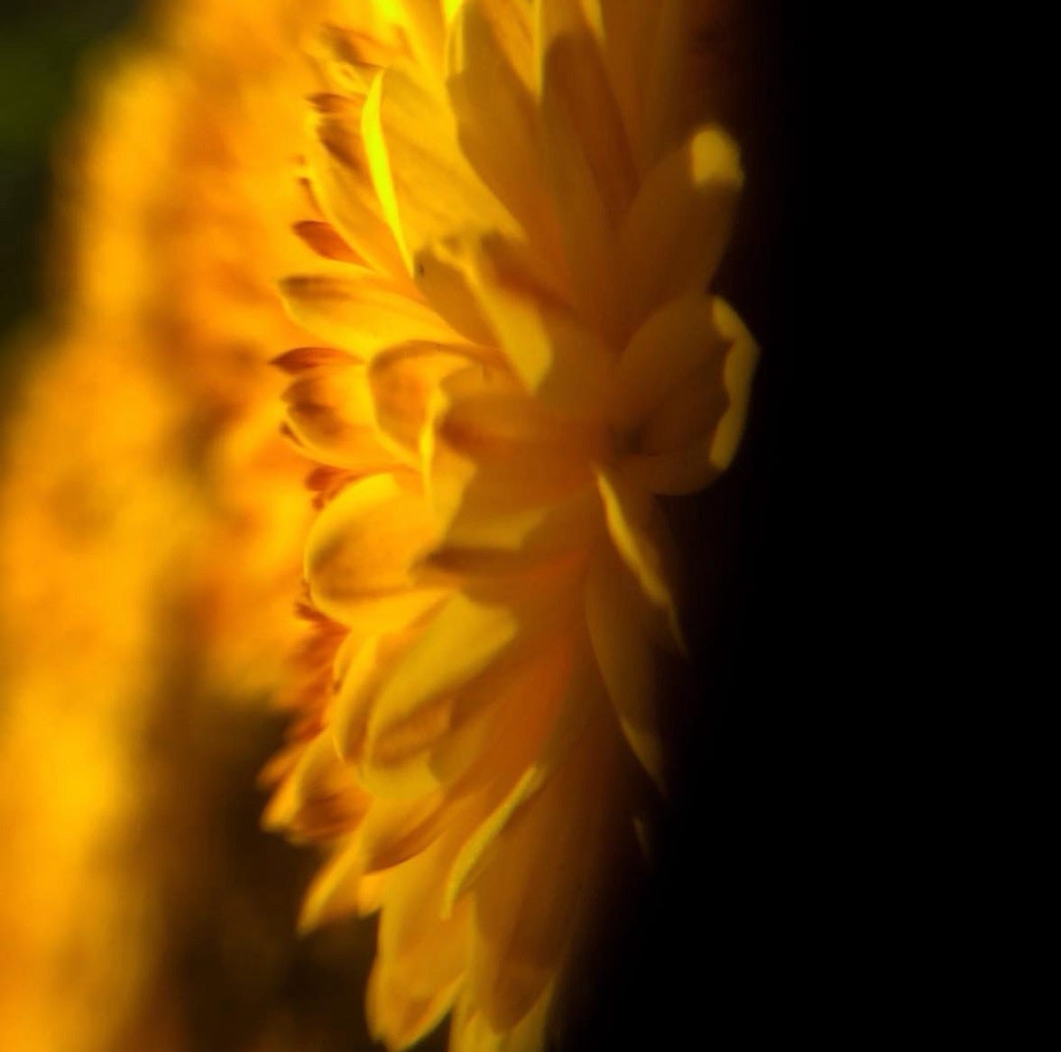 The Healed Enough Mother