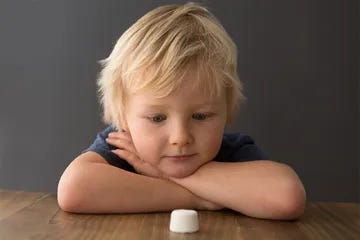 Marshmallow Test Experiment - Simply Psychology