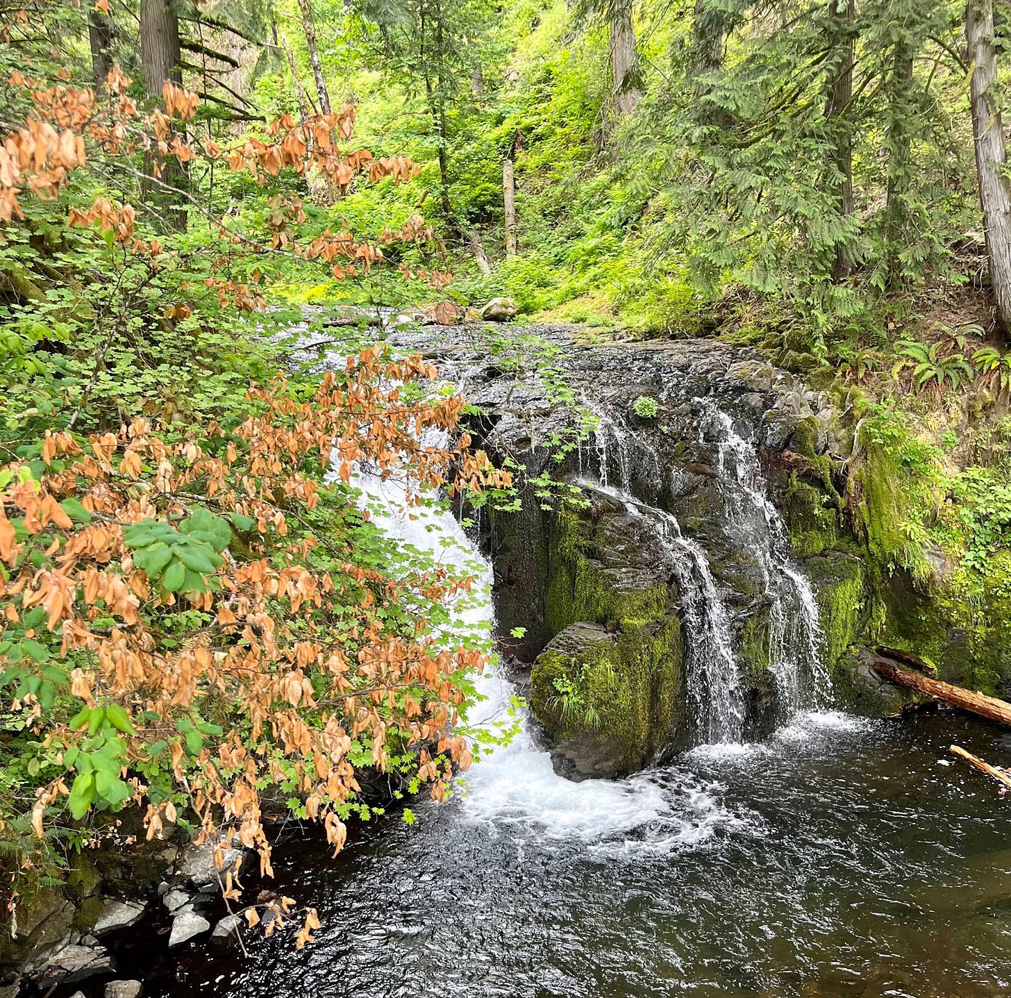 Multnomah River