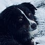 Kelly's avatar