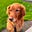 Brian Parker's avatar