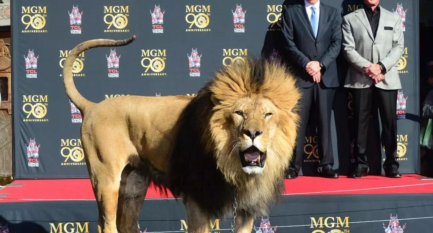 Amazon roars with $8.5b MGM purchase Amazon roars with $8.5b MGM purchase