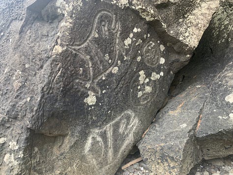 Doing a short cave hike with the boys. Top of the mountain selfie! Amazing views of the Olympic interior. Post mountain climb feast. Scrambling on the Olympic coast. Petroglyphs of an orca, a salmon? and some bears.
