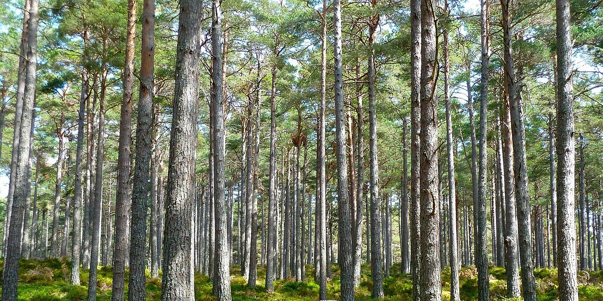 Chill Out: Refrigerants Are No Global Warming Threat