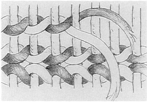 Twining System The Oldest Sandals: Fort Rock Cave and the Twining of Time
