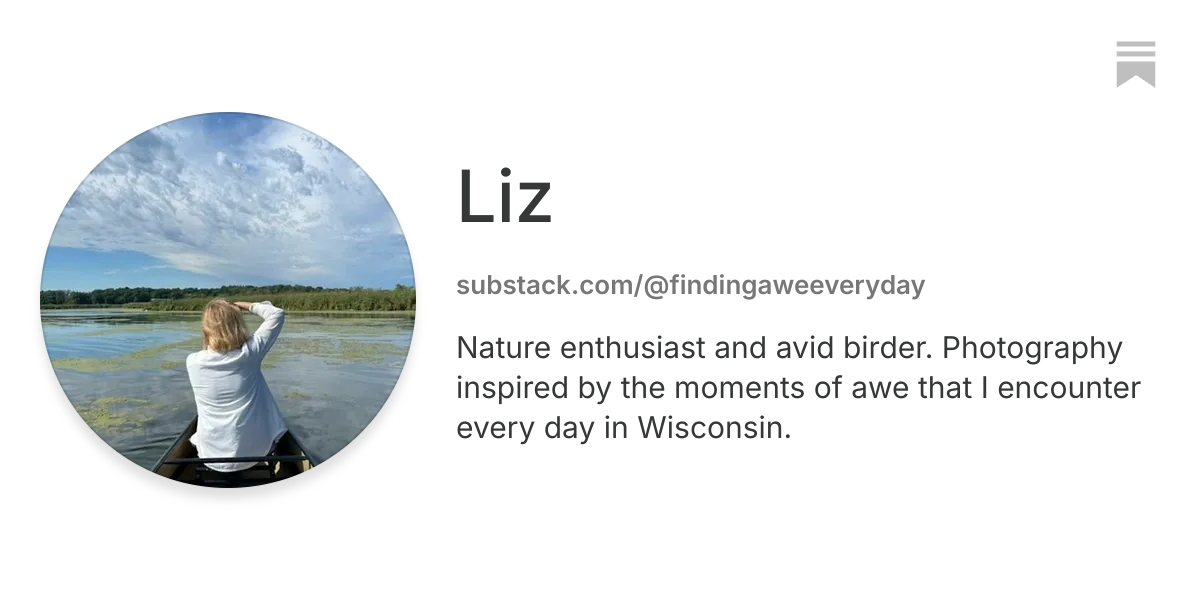 Liz | Substack