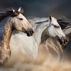 "Eight Horses Traversed the Sunlight"