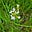 Leys Farm's avatar