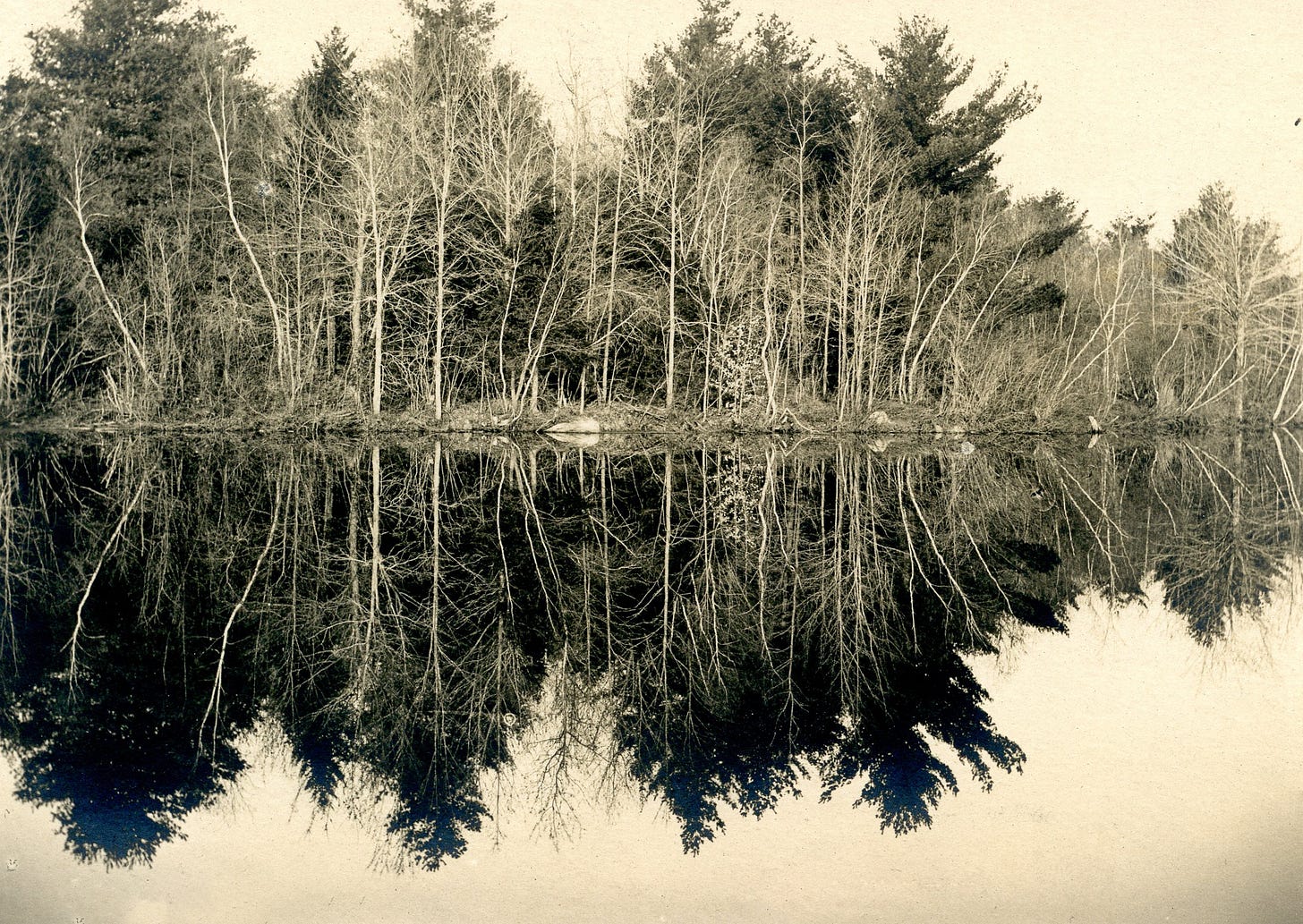 Balch Pond