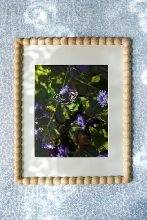 a variety of framed prints taken in the garden