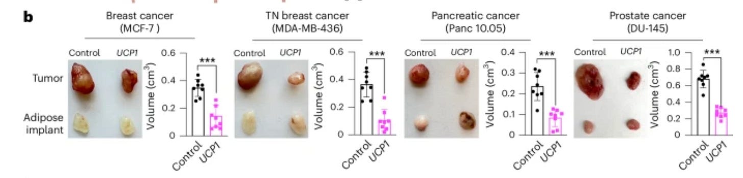 A close-up of a graph

AI-generated content may be incorrect.