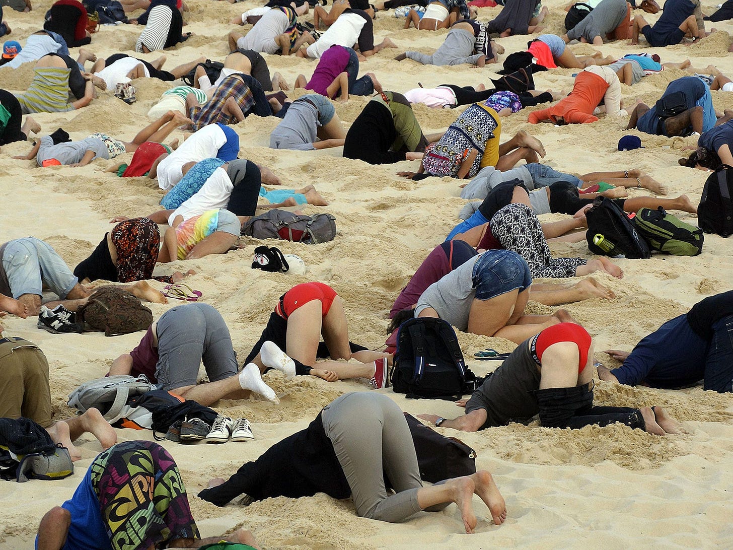 G20: Australians bury their heads in the sand - literally - over Tony ...