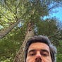 Joe's avatar