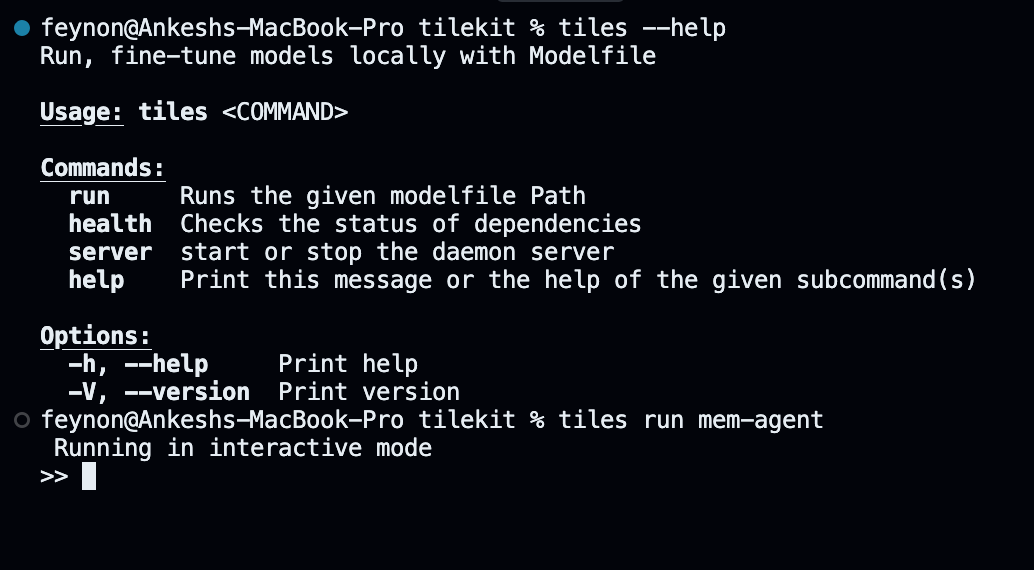 CLI terminal showing memory-aware chat session