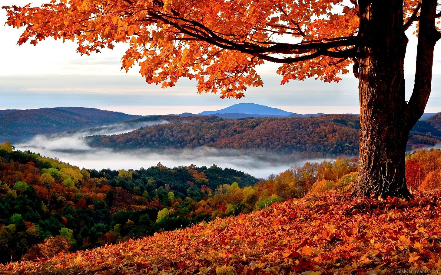 Autumn Pictures, Images, Graphics - Page 3