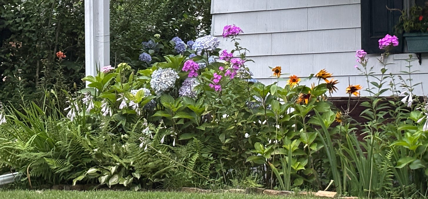 purple and blue flowers against a white house