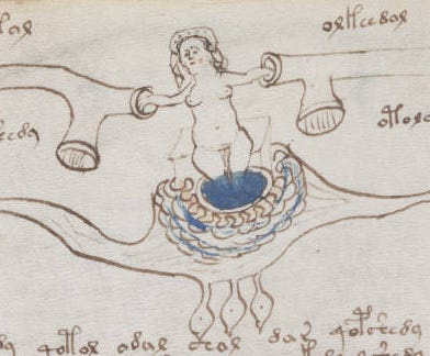 A drawing of a woman in water from Voynich Manuscript A drawing of a woman in water from Voynich Manuscript