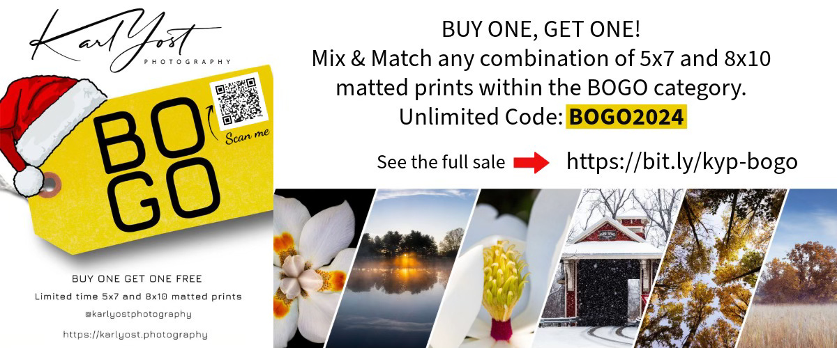 BOGO Promo Banner