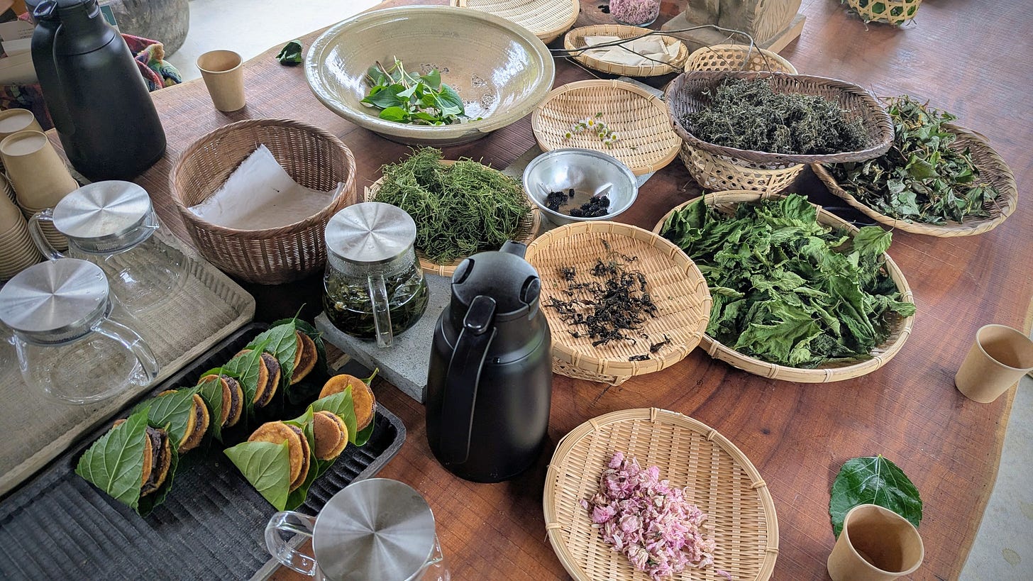 A big wooden table displays bowls and baskets of herbs, paper cups, glass tea pots, and homemade bean-paste sandwiches.