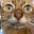 Sue Moores's avatar