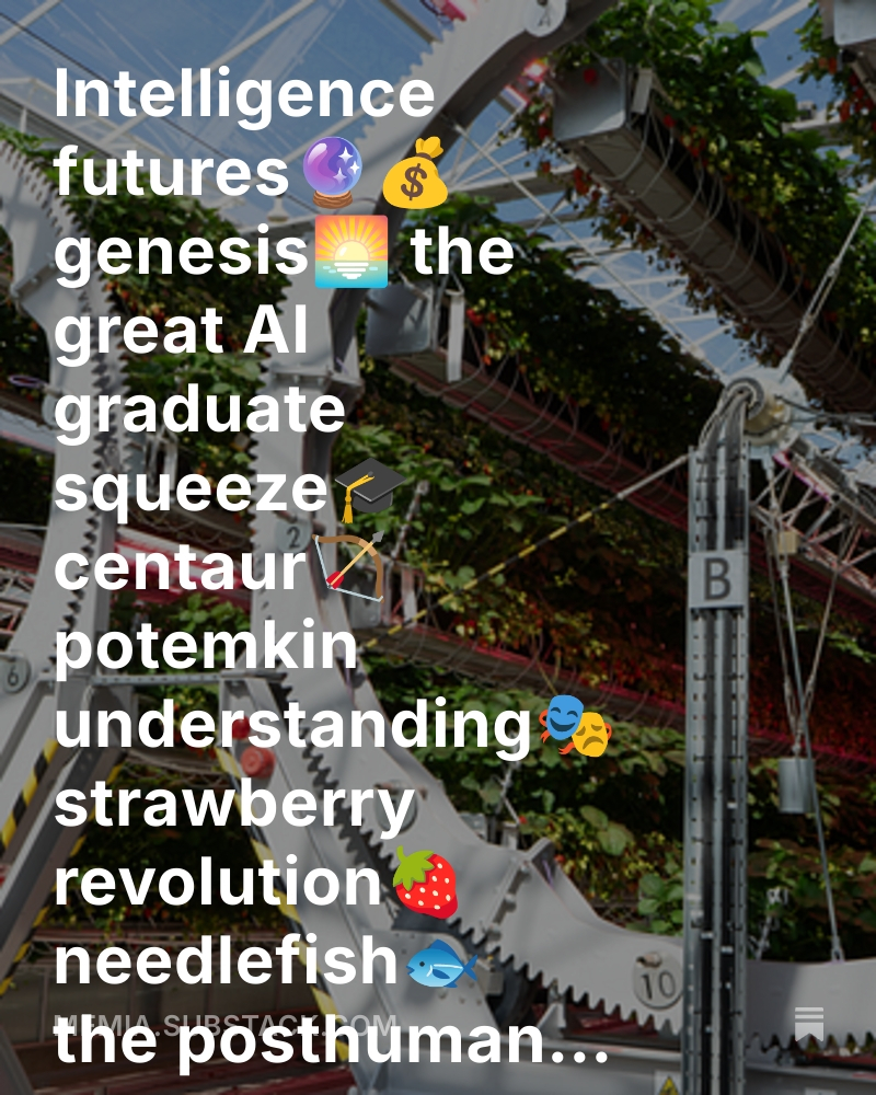 Memia 2025.27