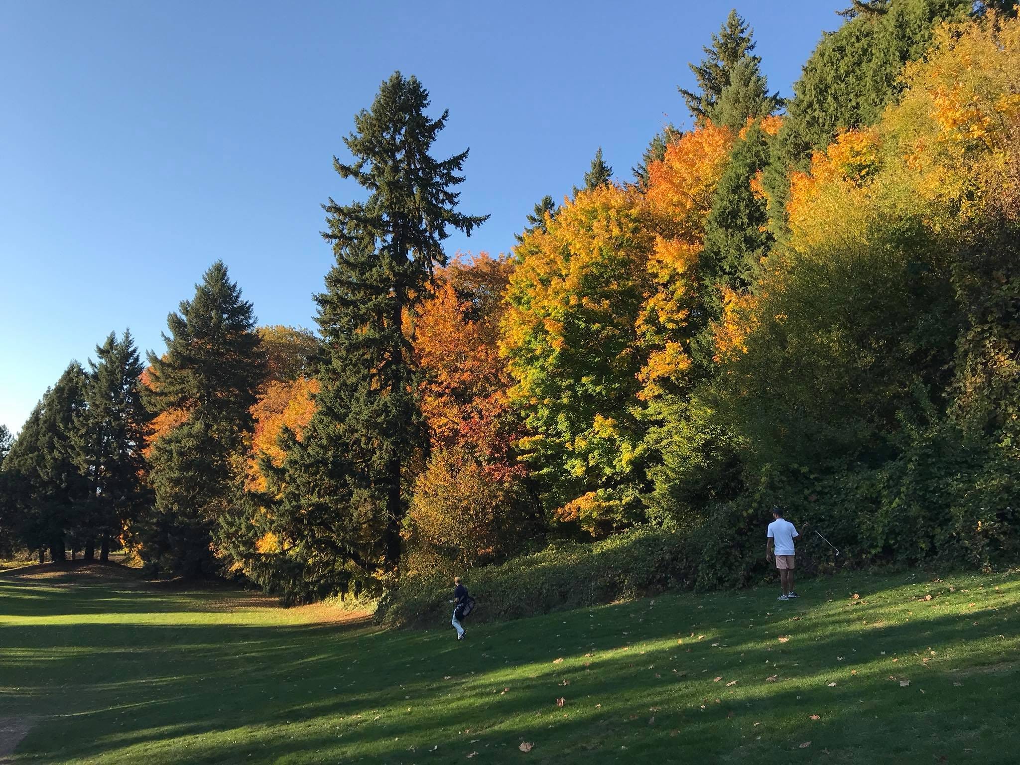 Eternal Path Musings