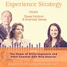 The Experience Strategist