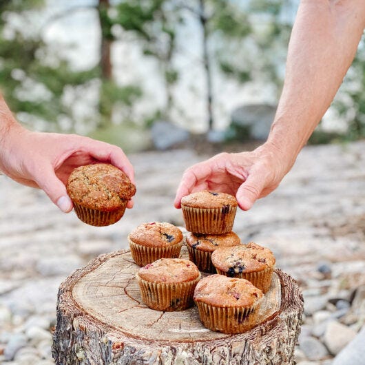 Vegan Rise and Shine Muffins (gf) Vegan Rise and Shine Muffins (gf)