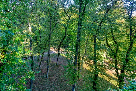 Castle Gardens