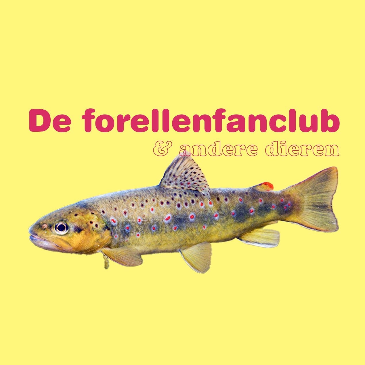 De forellenfanclub