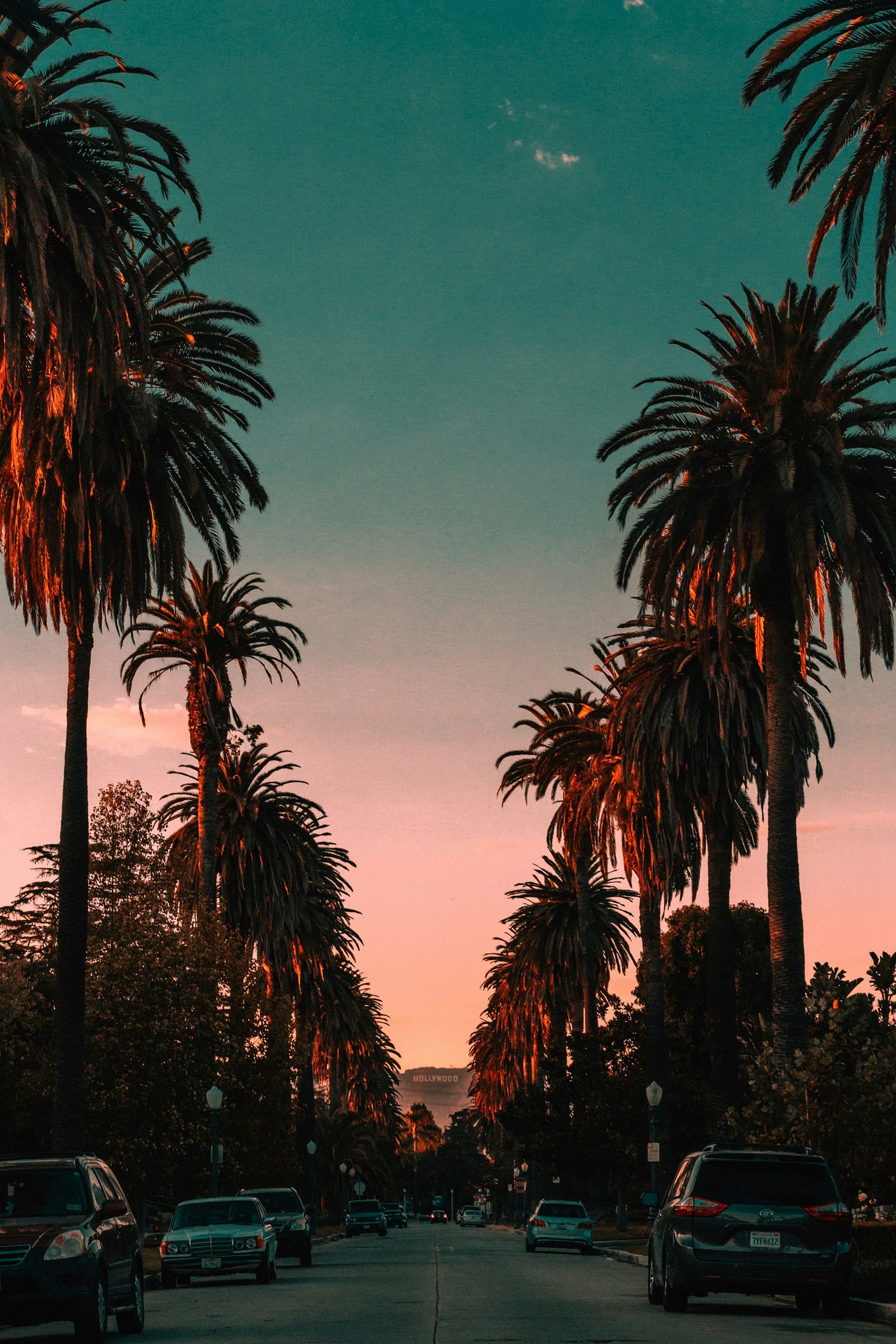 a Los Angeles road lined with palm trees