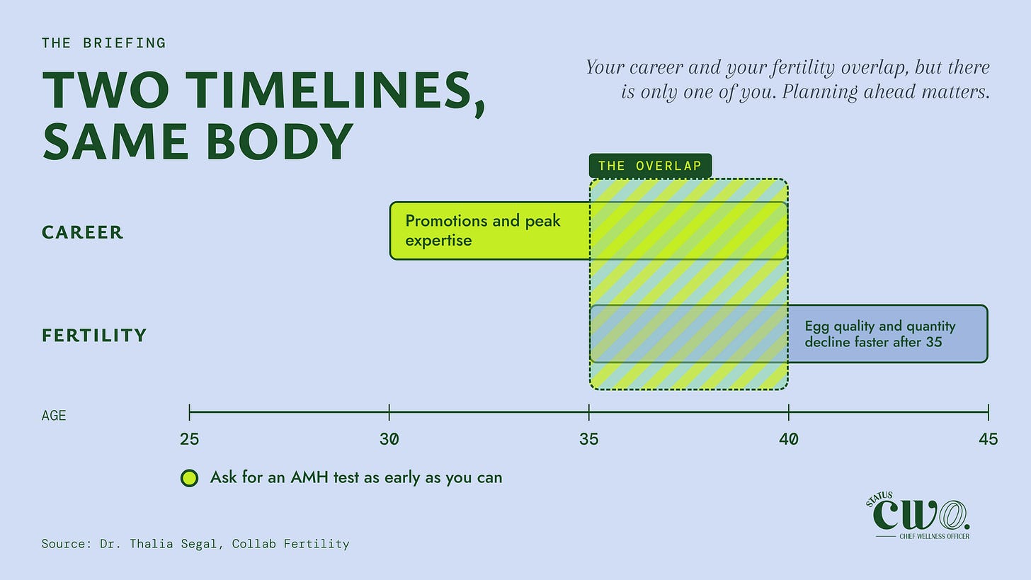 Chart titled “Two Timelines, Same Body”. Career promotions and peak expertise run from about 30 to 40. Egg quality and quantity decline faster from 35 to 45. The overlap between 35 and 40 is highlighted.