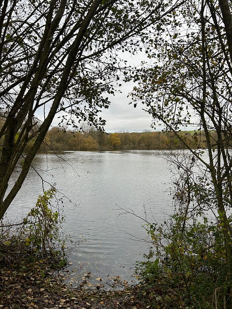 Photos from Langford Lakes, Wiltshire Images: Roland's Travels