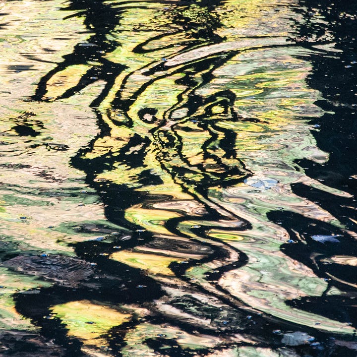 Diptych. Swirls of reflected yellow leaves in water on left; straight trees and ghostly leaves dancing.