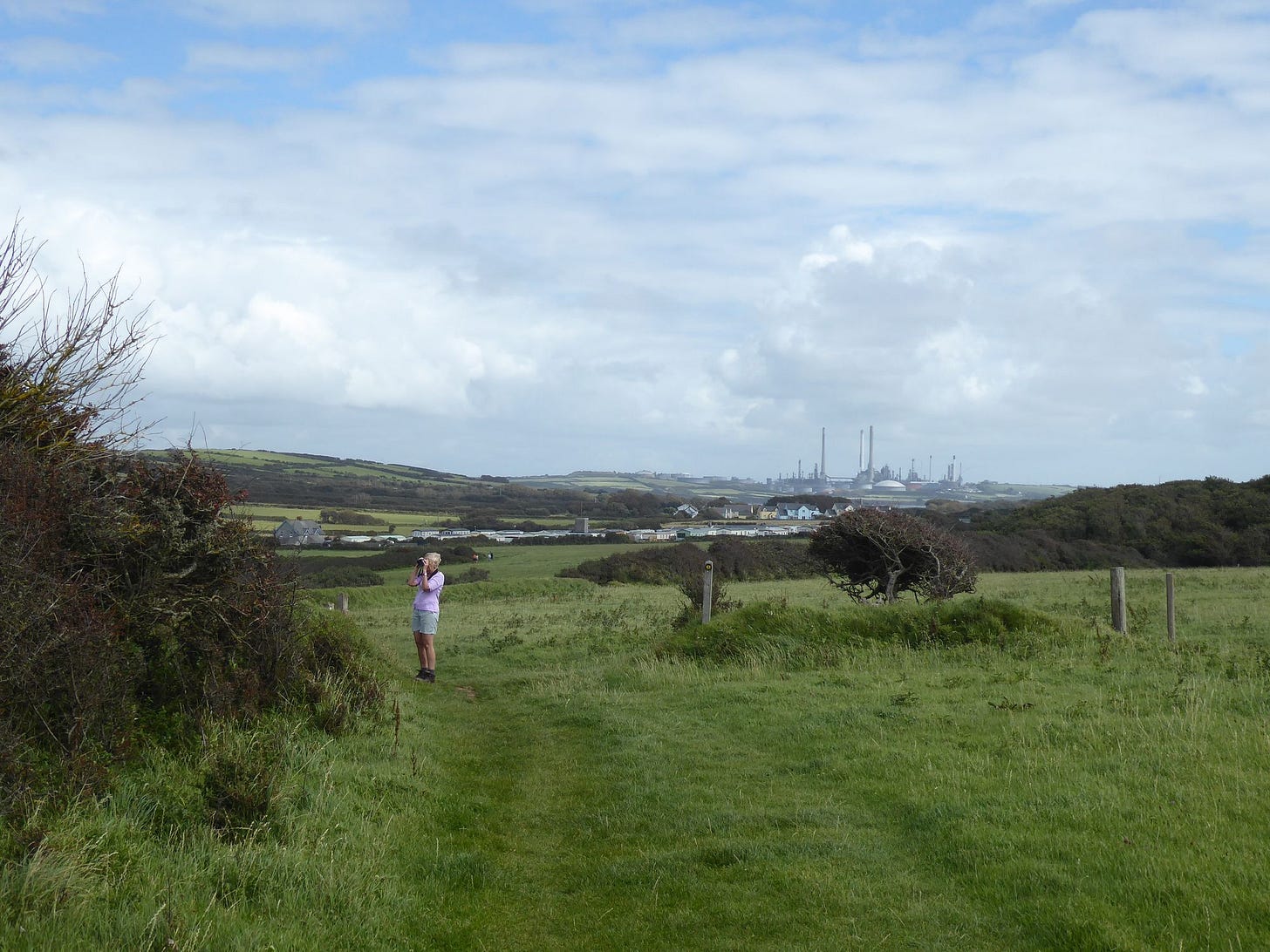 South Pembrokeshire: Storms, seals and social distancing
