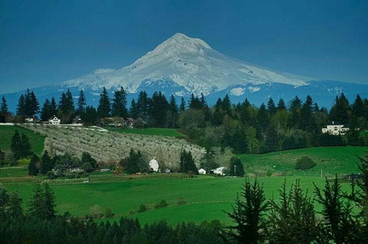 Mt Hood picture taken in Lake Oswego Oregon