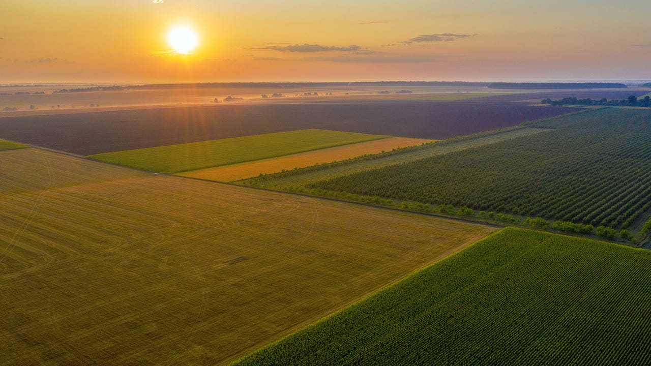 Who should own our farmland? Who should own our farmland?