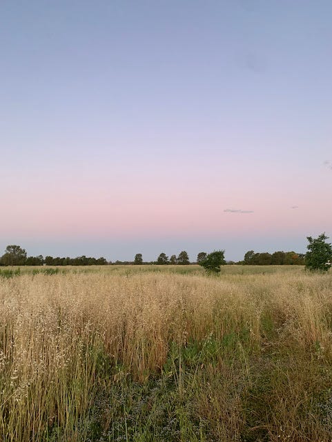 What does a low-demand life look like?