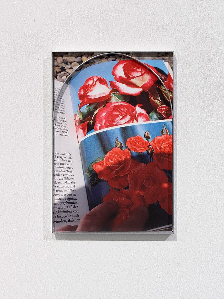 Hanna Stiegeler — Sweetwater, Berlin