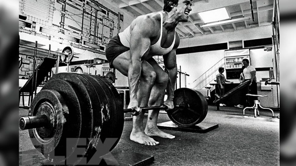 Arnold Schwarzenegger: Dead on Target - Muscle & Fitness