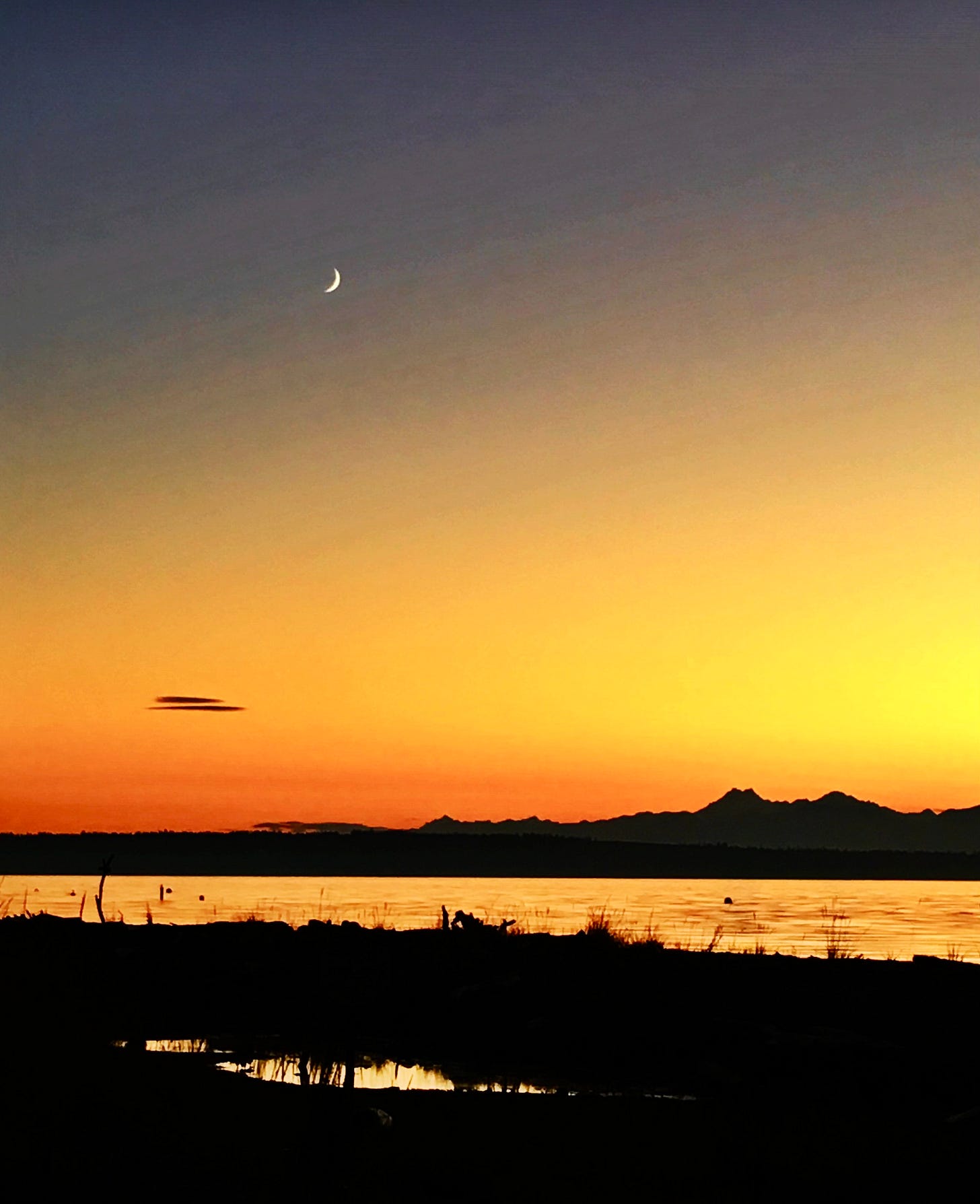 New Moon on Whidbey Island a few summers ago. Photo by JPC.