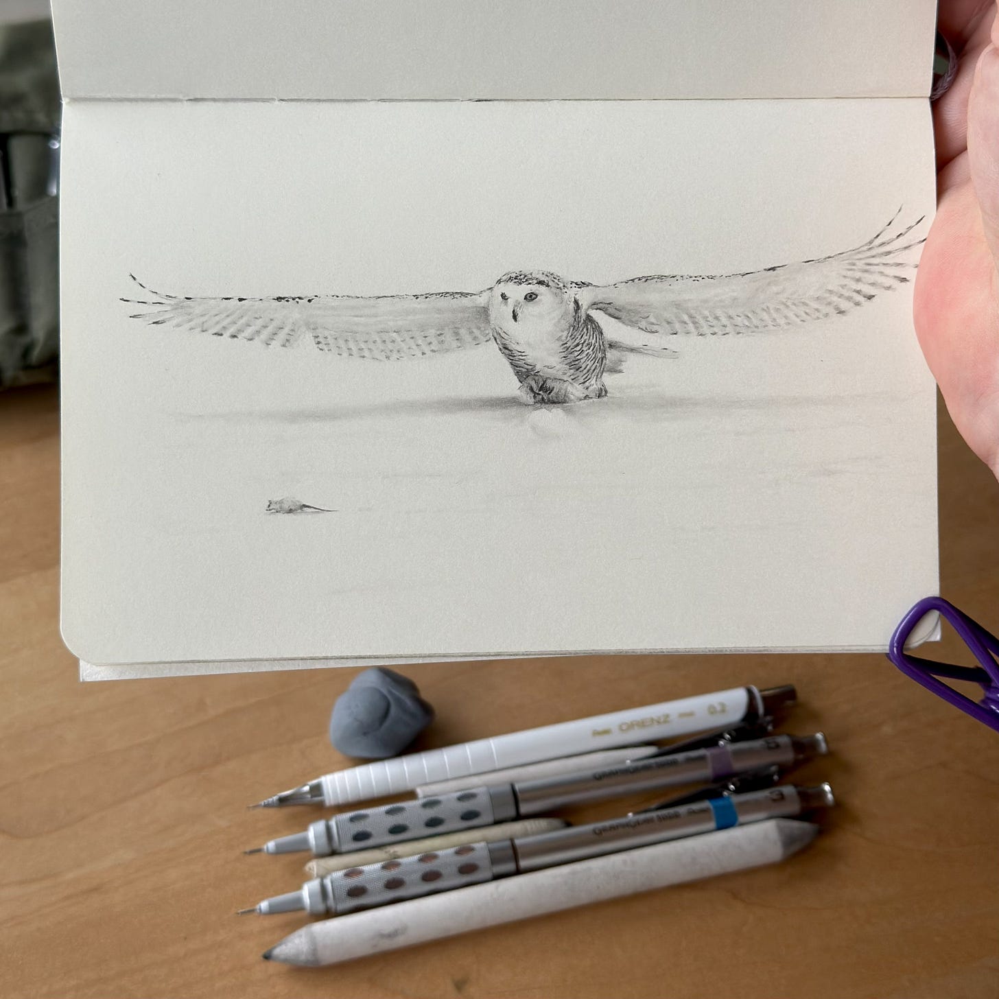 A snowy owl coming in for dinner drawn with a blender and pencils in a small sketchbook.