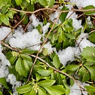 We need our communities to support us in grief