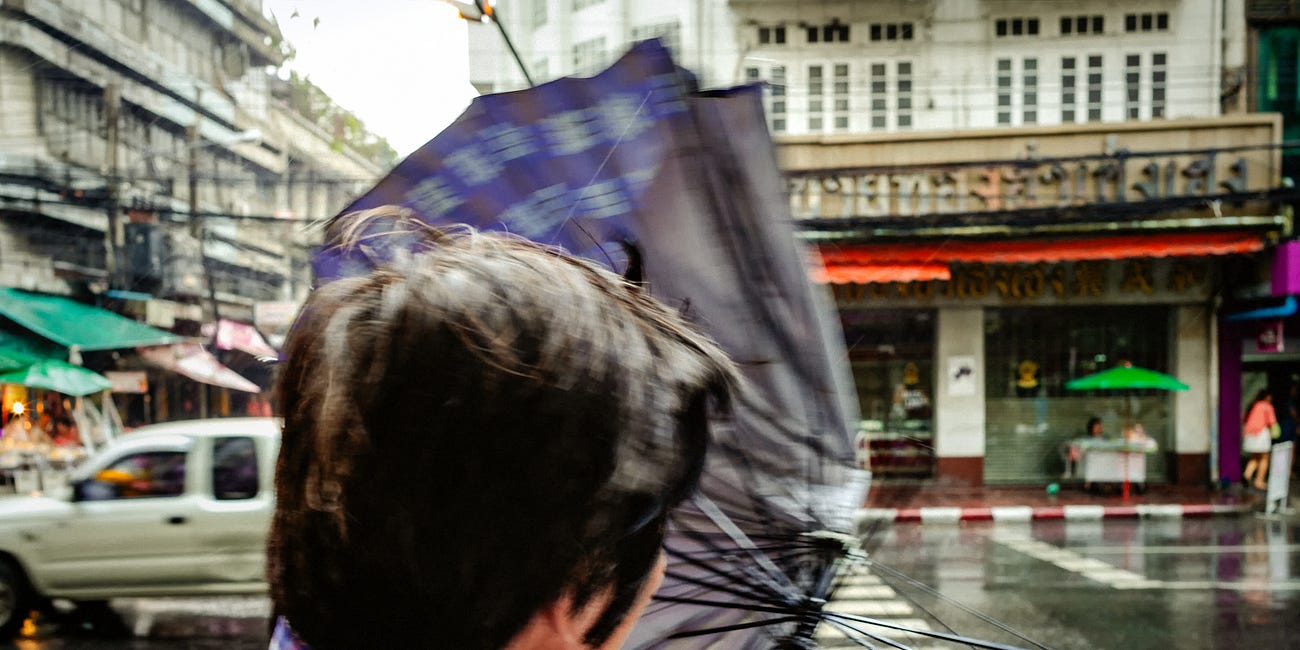 Beyond the Frame 80/