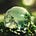 Lauren G. @WaterWeekly's avatar