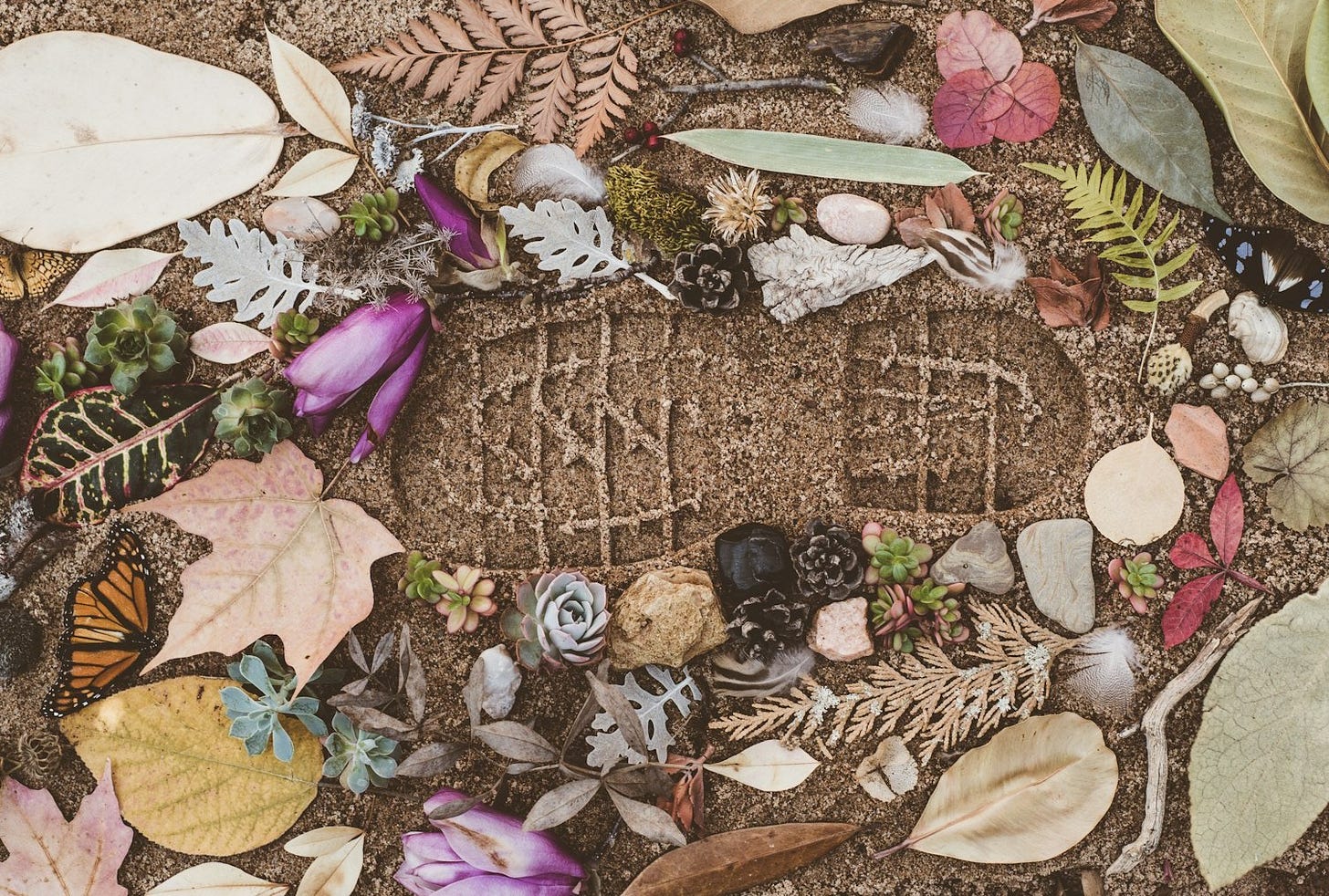 assorted flowers and leaves on sand with shoe mark