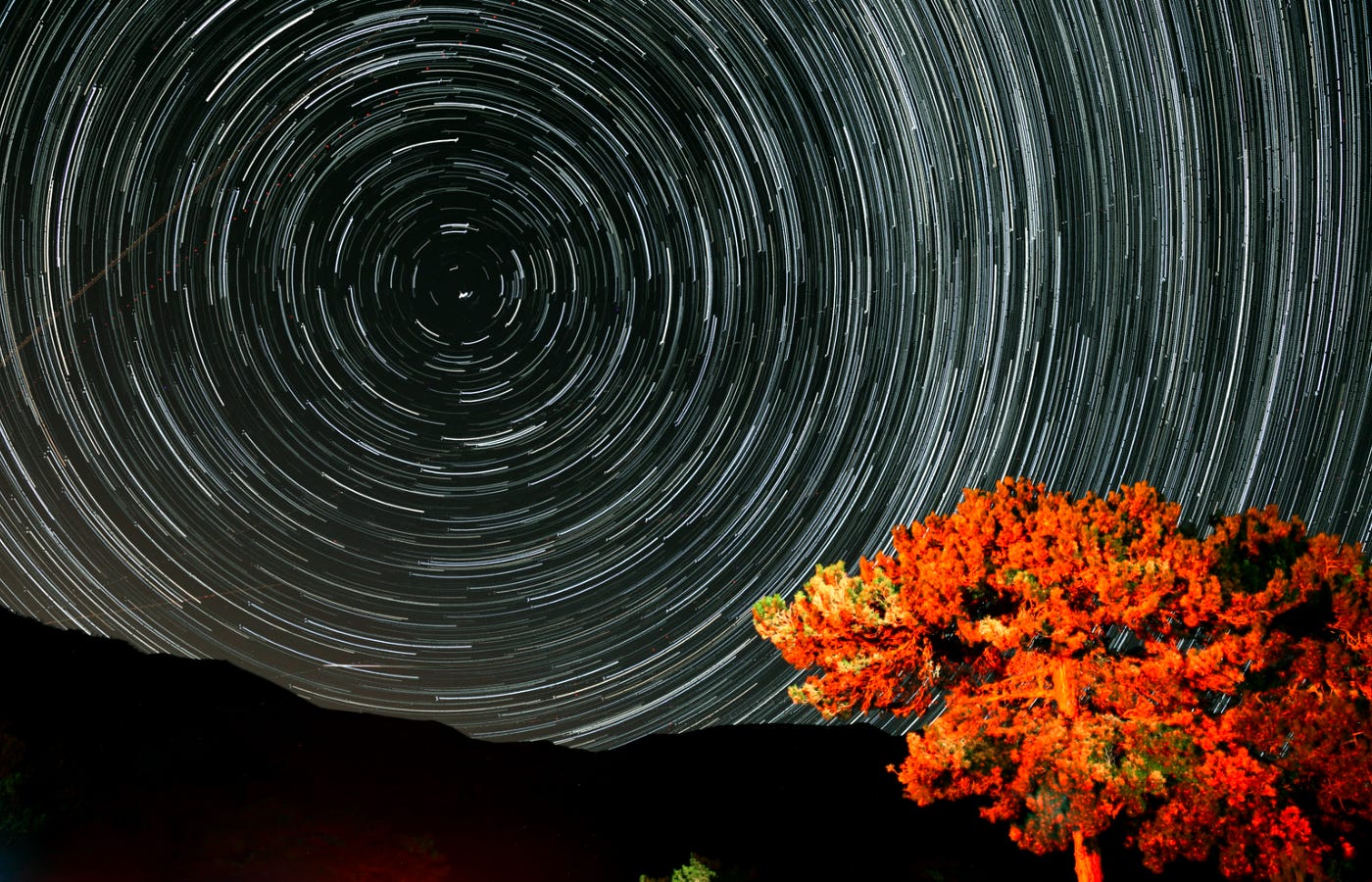 Long-exposure photograph of a night sky showing circular star trails above a brightly lit tree, symbolizing the cyclical and merciful nature of time.