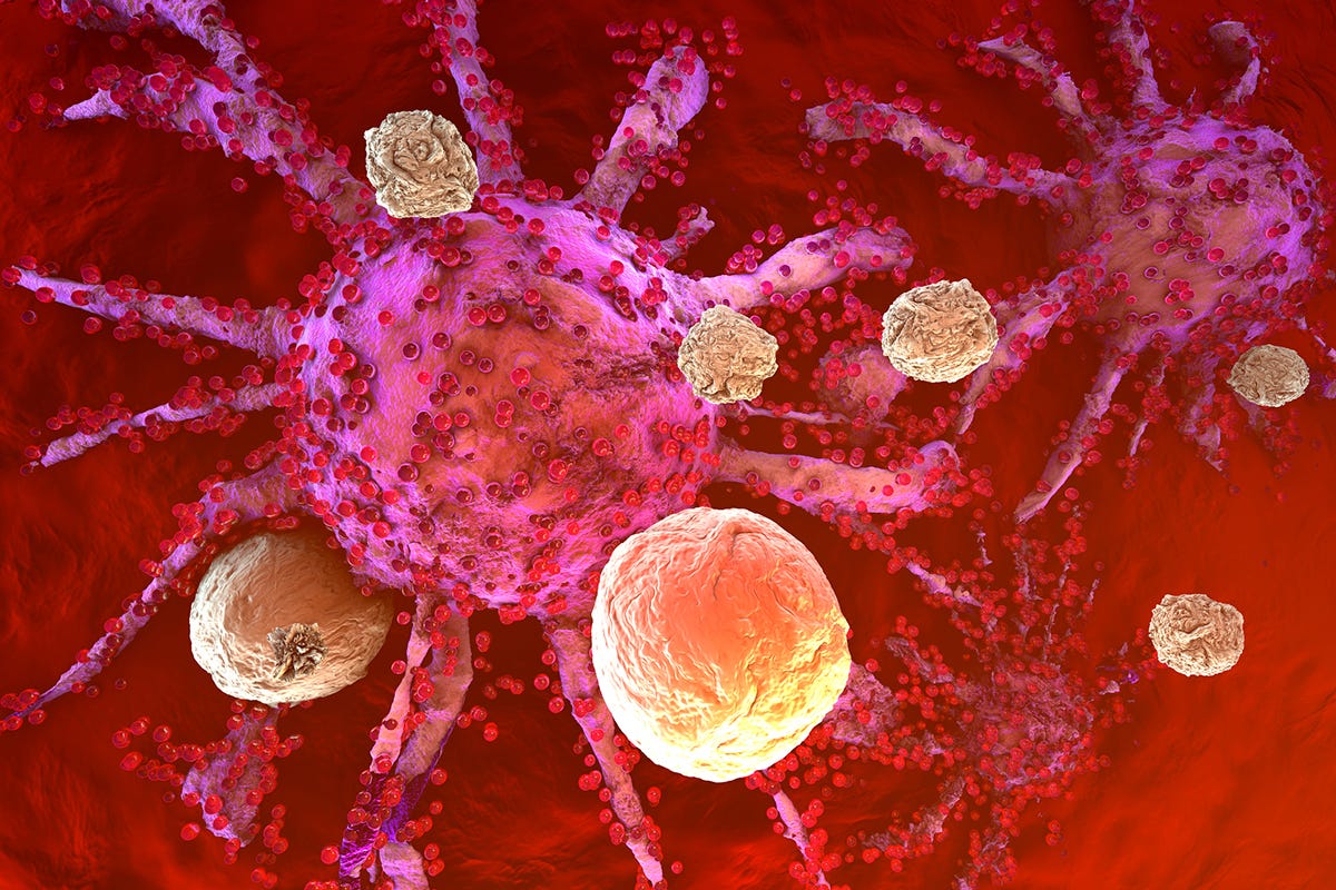 6 Important Parts of the Immune System to Know | Alliance for Cancer Gene  Therapy