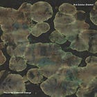 Rok Zalokar Zhlehtet – Pieces for Collective Change (Jazz Cerkno Records)