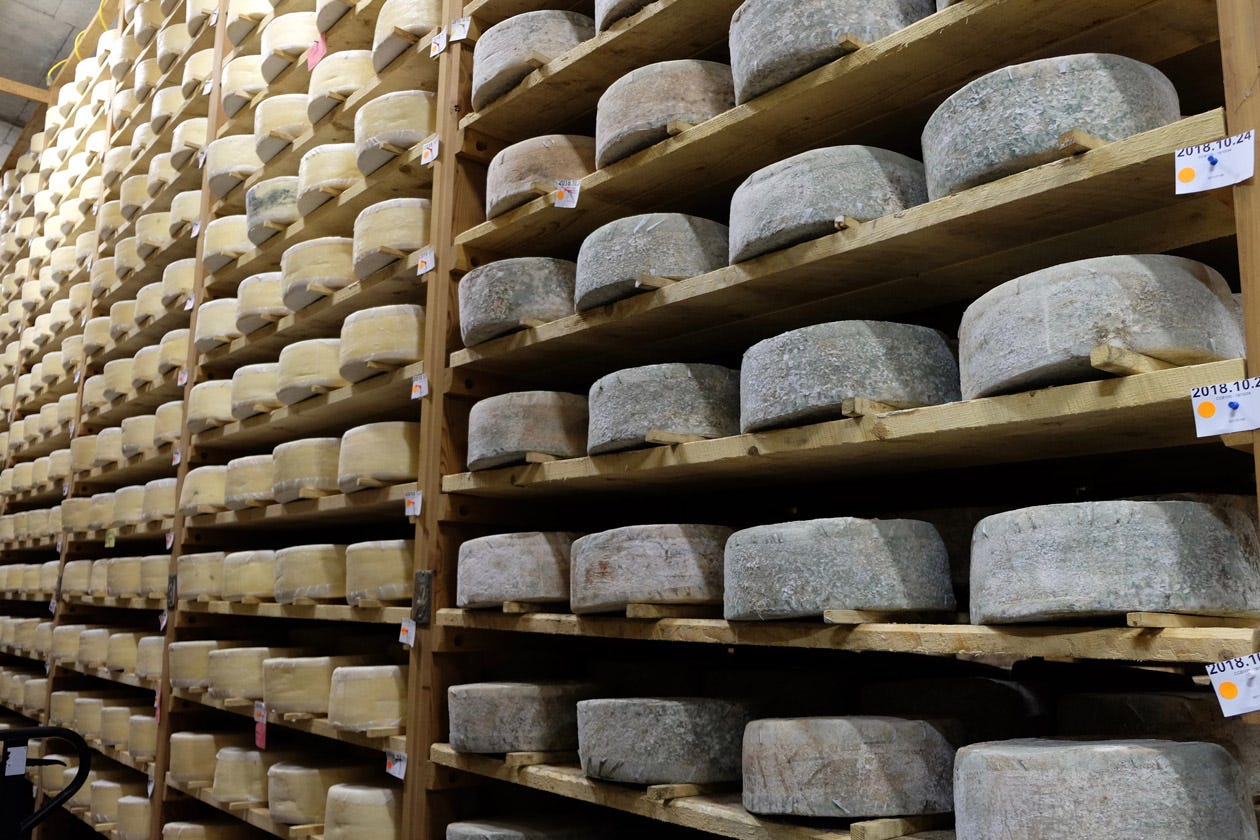 Cabot Clothbound Cheddar on racks at Cellars at Jasper Hill